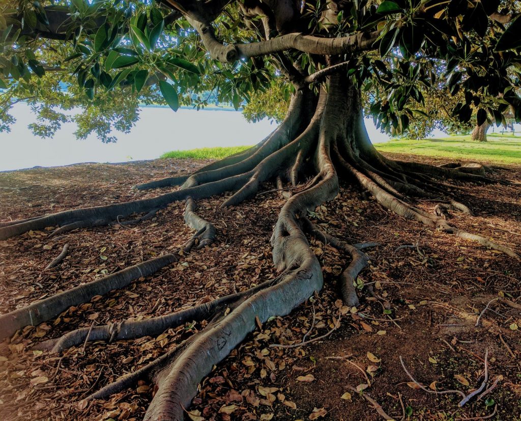 Stuck in Your Business? How to Get to the Root Issue 